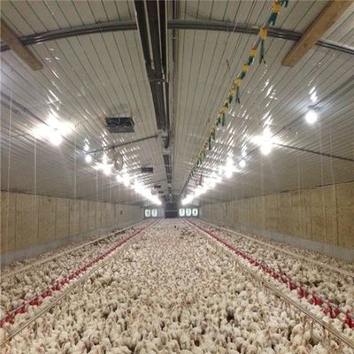 Broiler Breeder House Stainless Poultry Farm Equipment